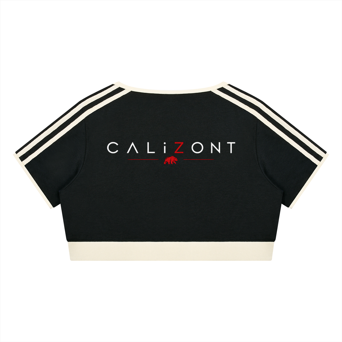CalïZoNt Mosaic Women's Color Block Crop T-Shirt