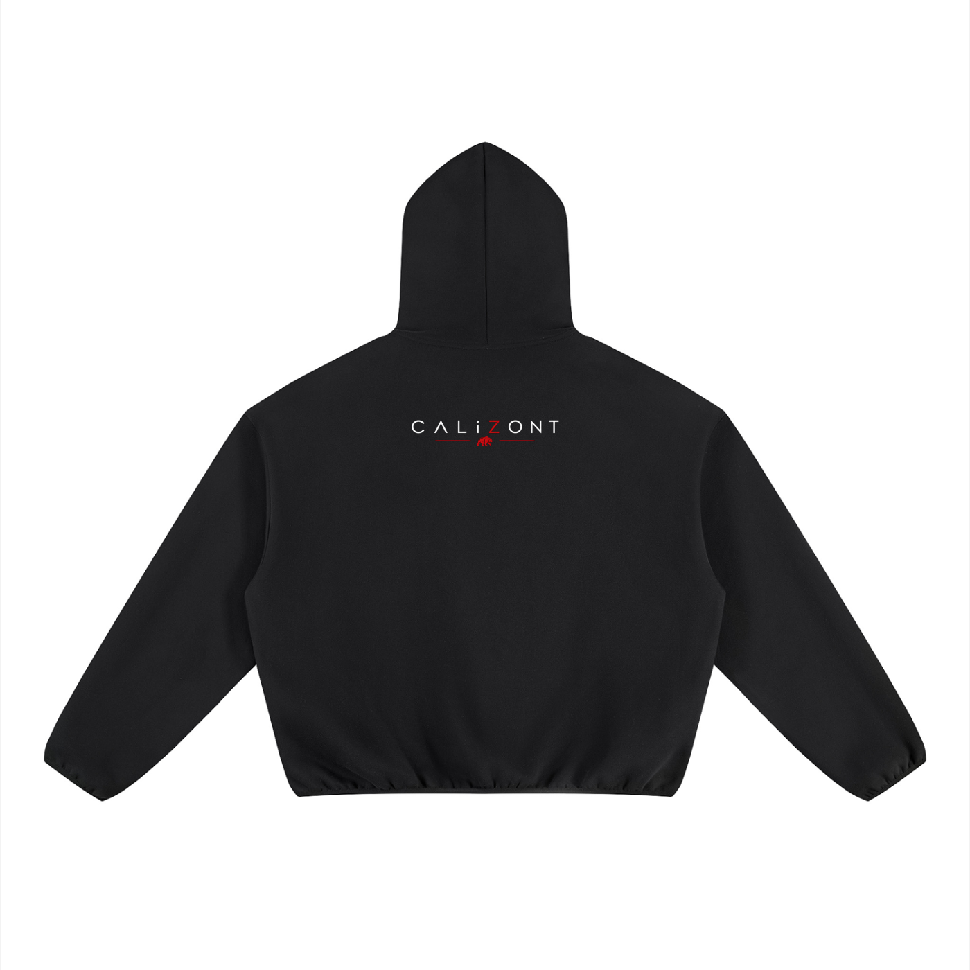 CalïZoNt Boxy Piping Fleece Hoodie in black, back view