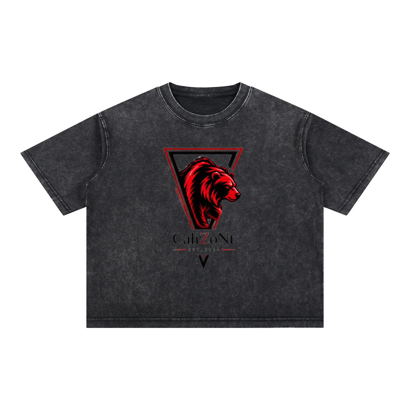 CalïZoNt Slate Mineral Wash Boxy Cotton T-Shirt
